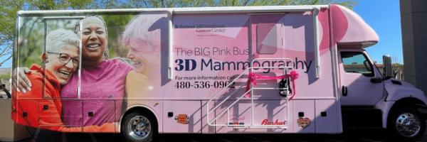 the-big-pink-bus-2024_600x200